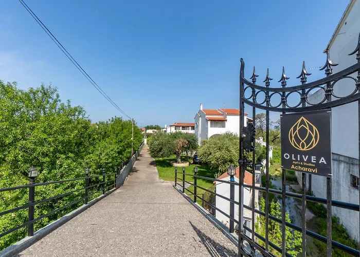 Apartment Olivea 2